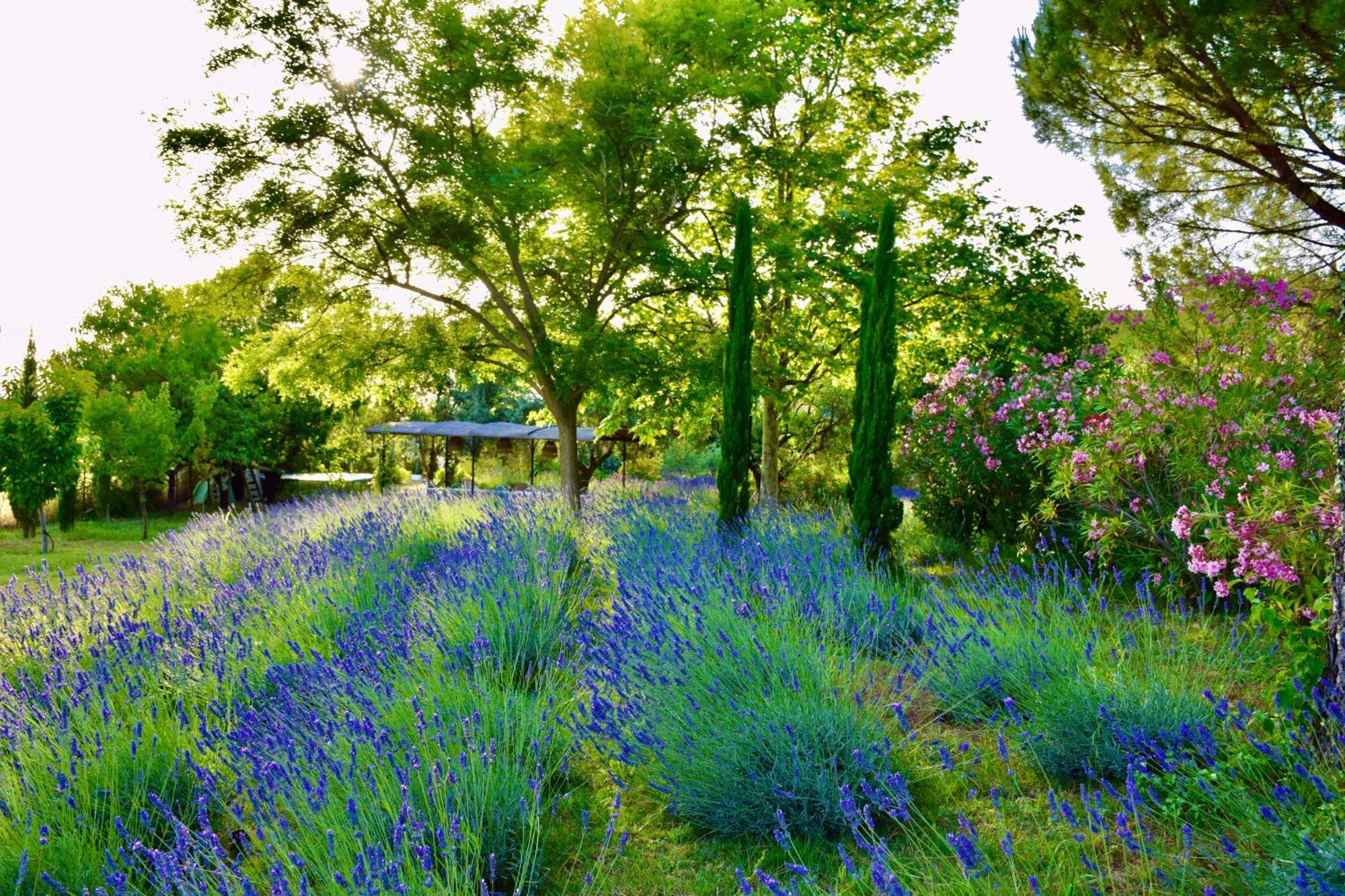 Bastide Saint-Didier Екстер'єр фото